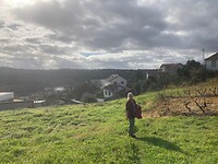 Flinke wandeling met onderweg mooie uitzichten