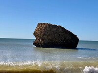 Rots in de branding