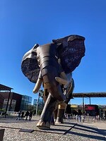 Bioparc in Valencia met een geweldig grote olifant voor de deur
