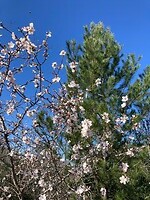 De lente komt!!