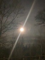 Volle maan
