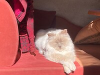 zzzzzzzzzzz