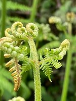 De natuur ontluikt, prachtig om te zien