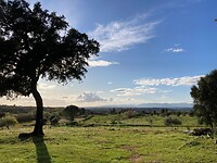 Het uitzicht vanuit de achtertuin bij J&V