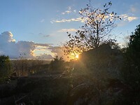 Plukken tot de zon ondergaat