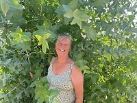 Een duik in de geurende eucalyptus