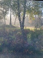 Mooi sfeerbeeld vanuit ons camperraampje