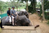 Pinnewela - Nalin en Martin op een olifant