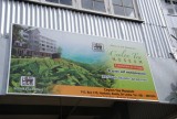 Tea museum