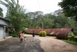 Tea museum