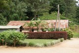 Tea museum