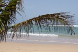 Paradijselijk