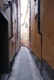 DSC09111
