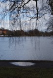 DSC09186