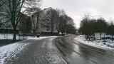 IMAG6516