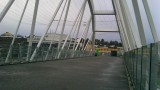 IMAG6547