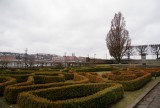 DSC09223