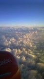 IMAG6629