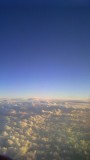 IMAG6631
