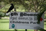 DSC01001
