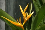 DSC01028