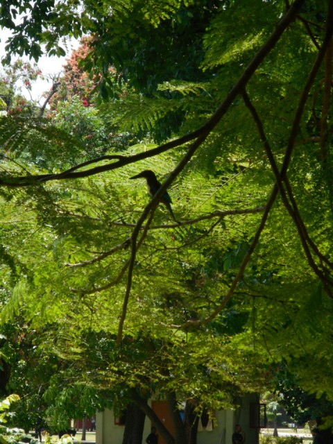 DSCN0455