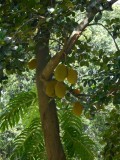 DSCN0457