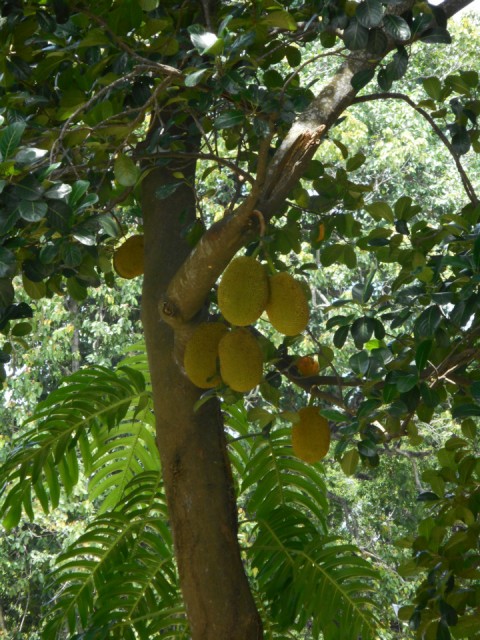 DSCN0457