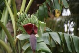 DSC01265
