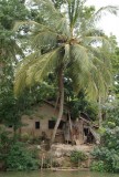 DSC01375