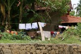 DSC01409