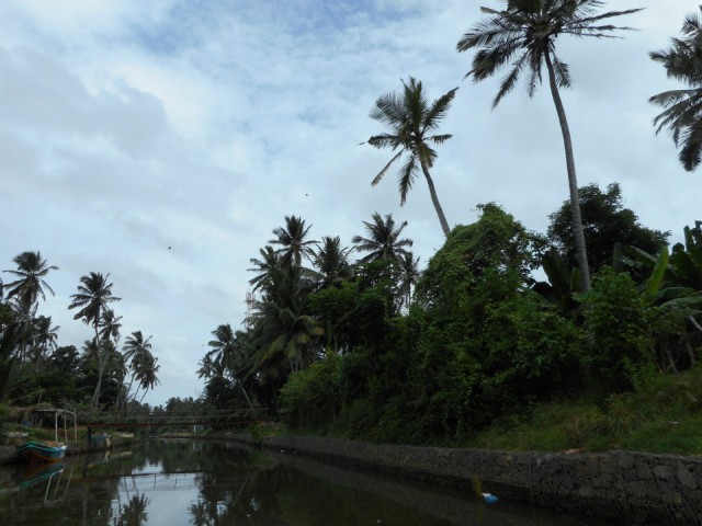 DSCN0638