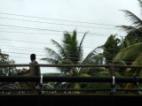DSCN0661