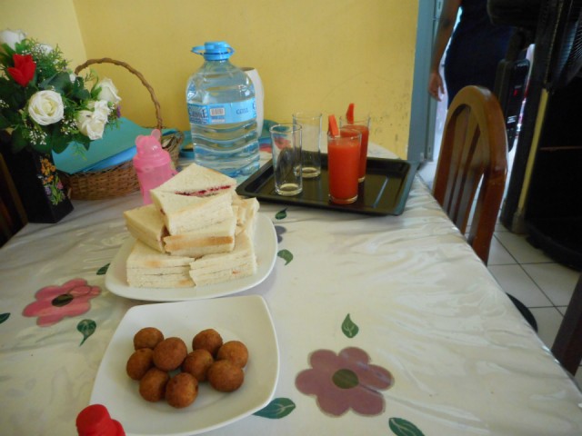 DSCN0667