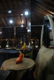 DSC01586