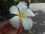 DSCN0848