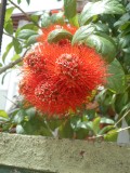DSCN0856