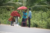 DSC01752