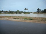 DSCN0879