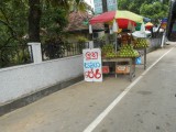 DSCN0899