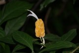 DSC01877