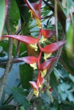 DSC01911