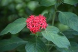 DSC01913