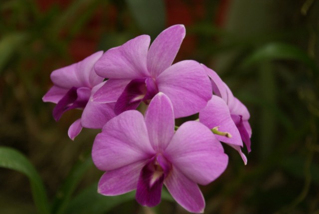 DSC01945