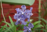 DSC01947