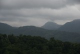 DSC02242