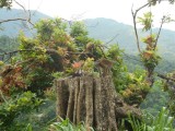 DSCN1026