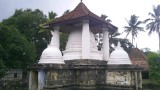 IMAG7828