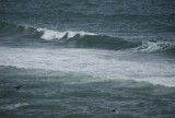 DSC02270