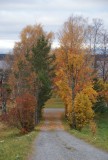 DSC02512